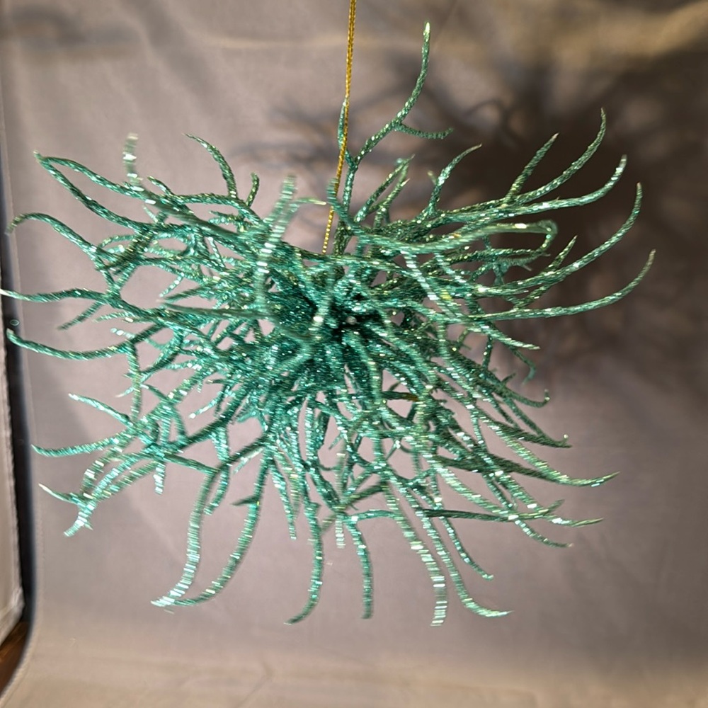 Gumps anemone